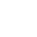 ICO Management